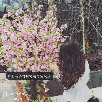 少年江湖无限元宝金币版下载